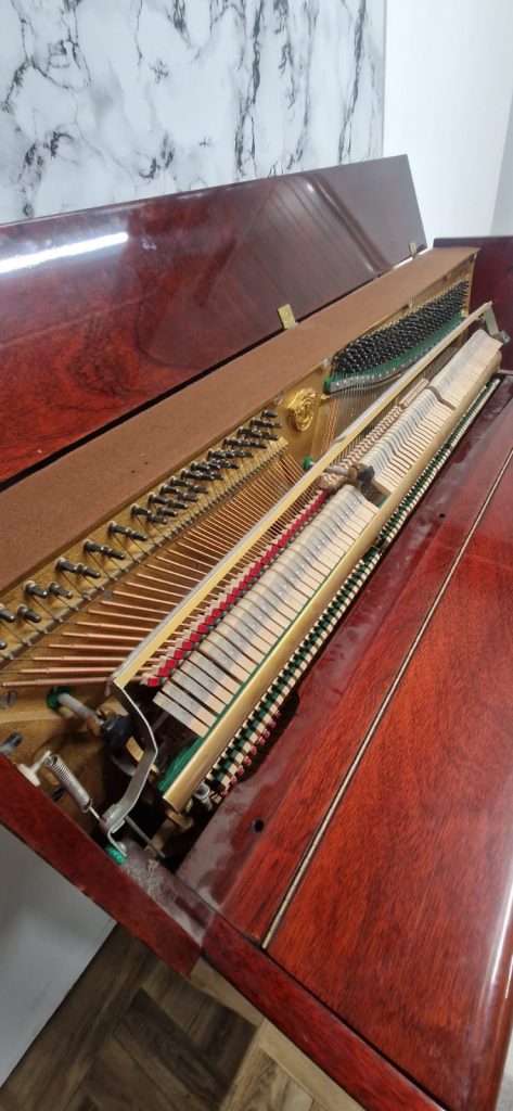 WhatsApp Image 2025-06-25 at 21.39.54